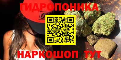 мдпв Лесосибирск