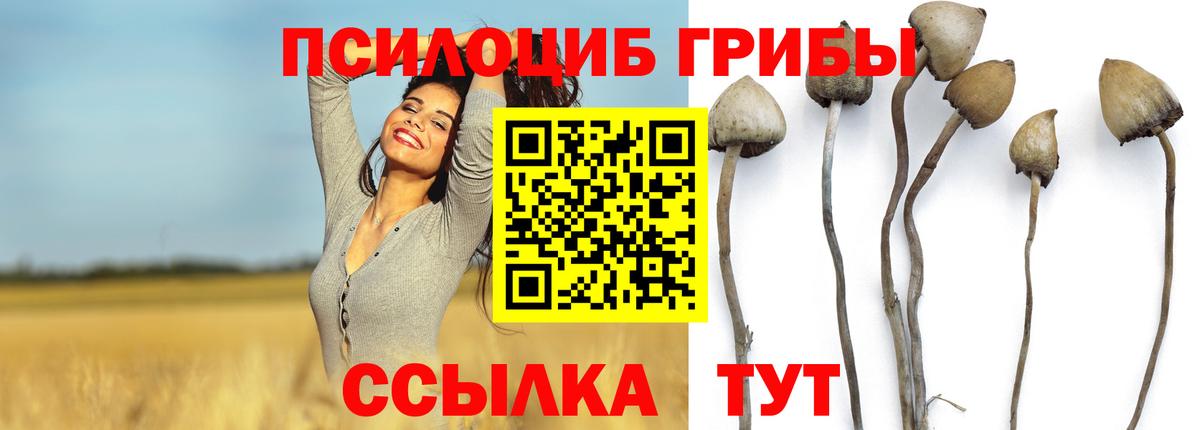 Кириши  Псилоцибиновые грибы Psilocybine cubensis  Вход с VPN  Галлюциногенные грибы MAGIC MUSHROOMS 